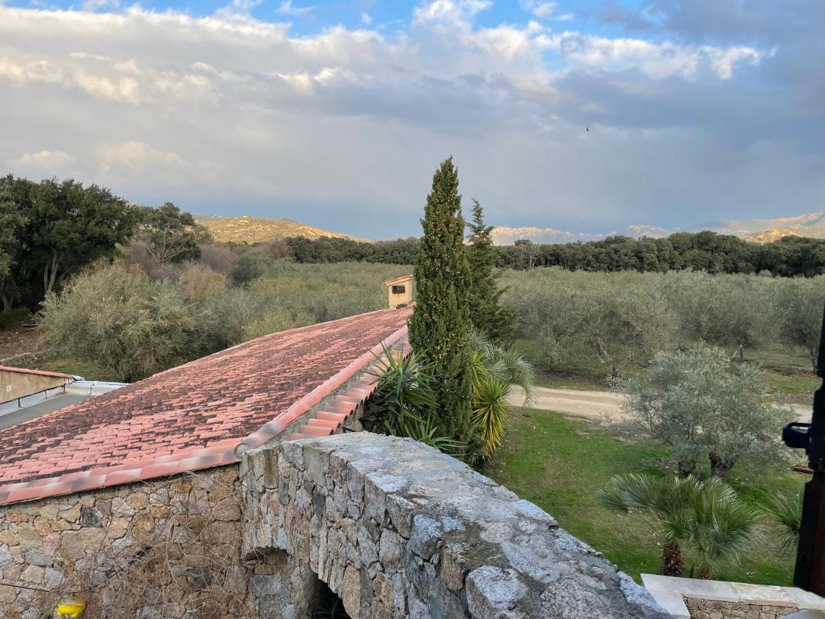 ホテル Domaine Du Reginu Santa-Reparata-di-Balagna エクステリア 写真